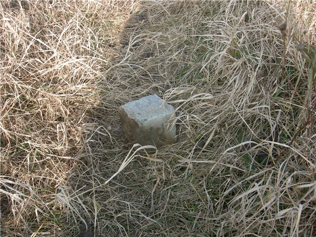 arčilend